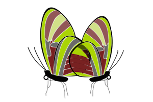 papillon2-300px